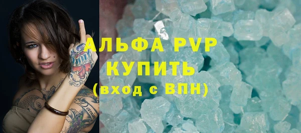 стаф Верея
