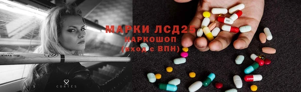 стаф Верея