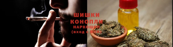 стаф Верея