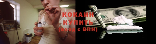стаф Верея