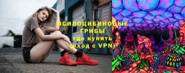 стаф Верея