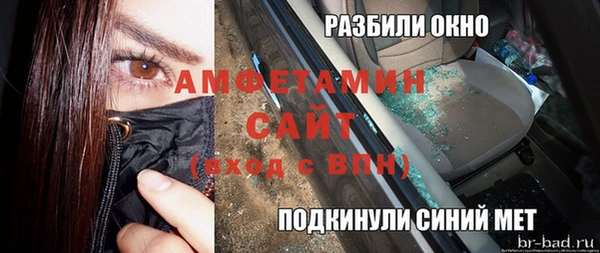 стаф Верея