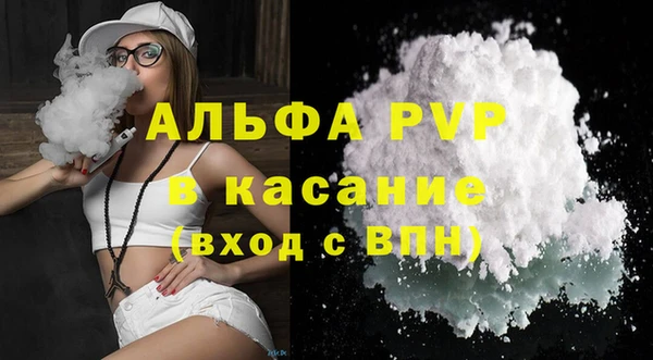 стаф Верея