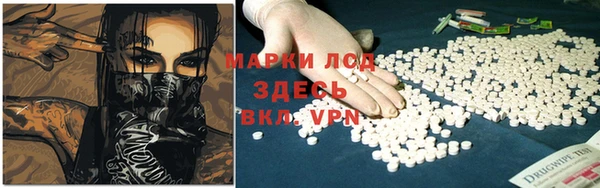 стаф Верея