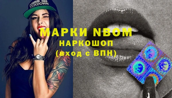 МДПВ Бородино